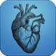 Auscultation Cardiaque