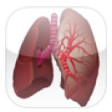 L'auscultation pulmonaire L'auscultation pulmonaire